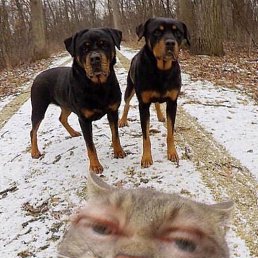 ���� ������, ������, 57 ��� - ��������� 1 ����� 2024