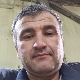 ����, �����������, 41 ���