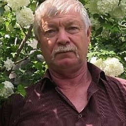 ��������, ������, 62 ����