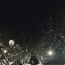 ���� �����, �������� - ��������� 19 ����� 2026 � ������ ���� ����������