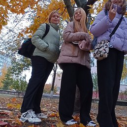 ���, ������, 37 ���