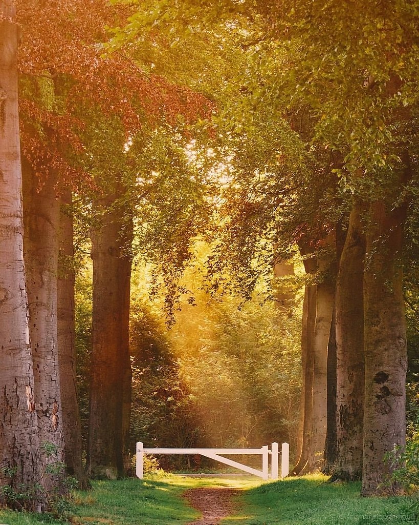 ������ �� ������ ���. ���� �� ���-�� ���������, ������ � ��� ���������� ������ ����� �����, �� ��� ... - 6