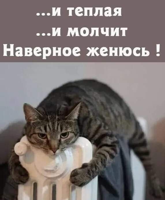 ��� ���� � ����� �� �� - 24 ����� 2026 � 23:00