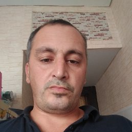 �����, 41 ���, ��������