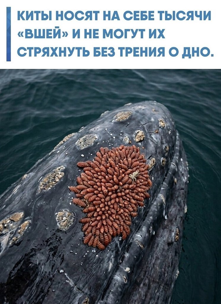 ���� ��� �� � ���������, � � ������������-���������� �������� �� 5 �� 25 ��. � ���� ��������� ...