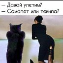 ���� �����, ���������, 52 ���� - ��������� 22 ������� 2024 � ������ ���� ����������