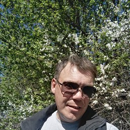 , 42 , 