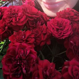 �������, ���������, 45 ���