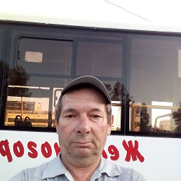 , 61, 