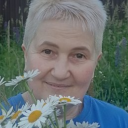 ����, ���������, 54 ����