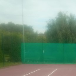 ���������, ������, 62 ����