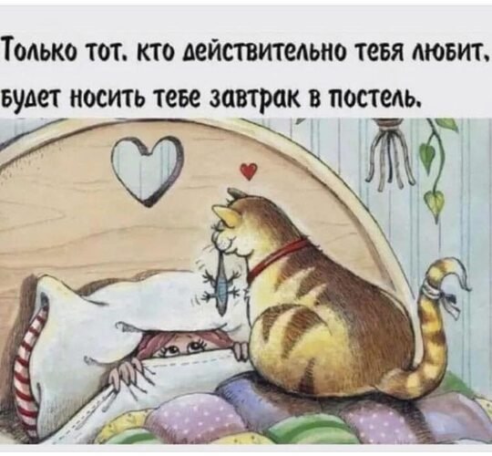      .23.02 ,  ,    , ...