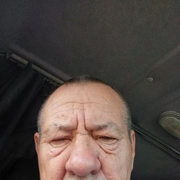 , 61, 