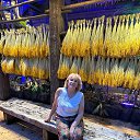 ���� ���������, ����������� - ��������� 10 ������ 2025 � ������ ���� ����������