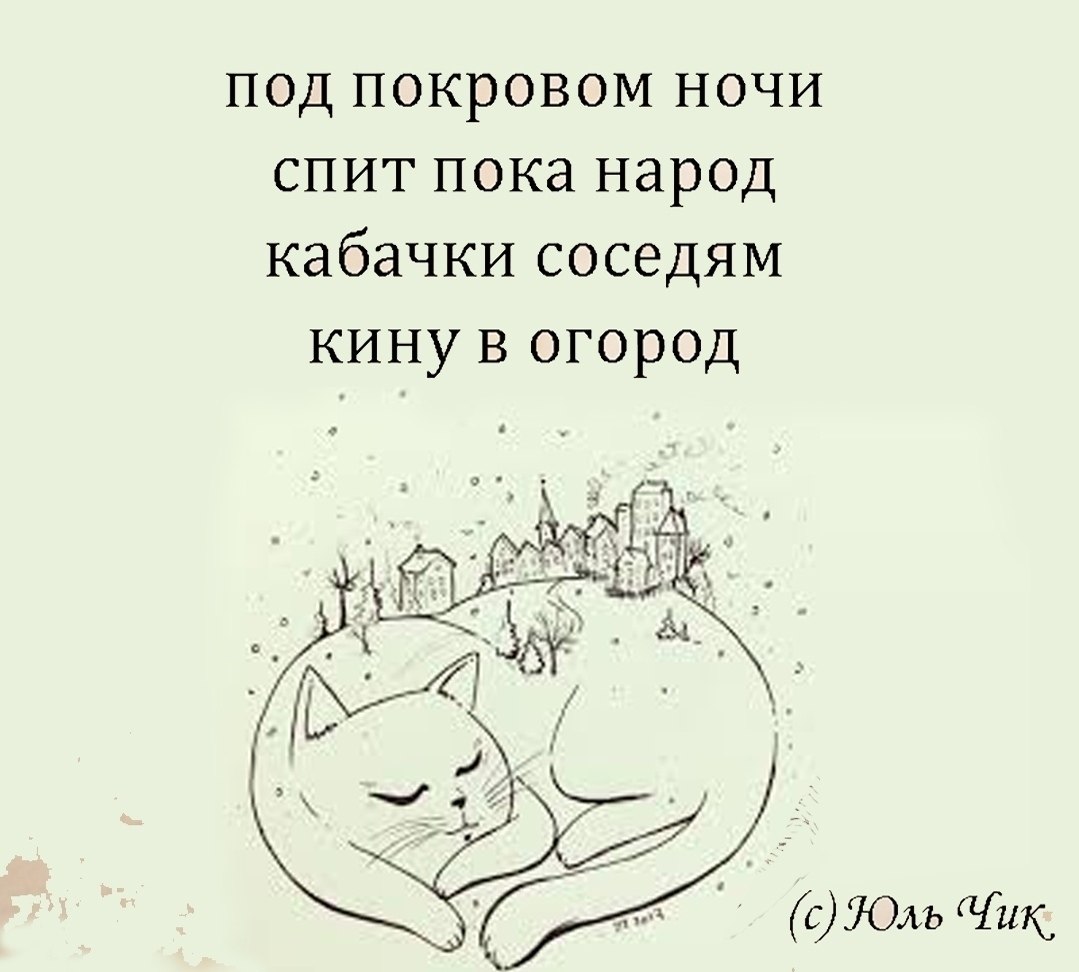 ������ - 5