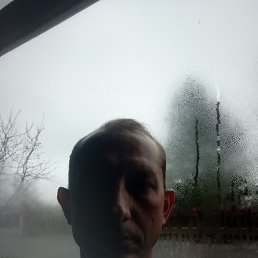 �������, ��������, 44 ����