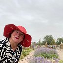���� �����., �����-��������� - ��������� 4 �������� 2024 � ������ ���� ����������