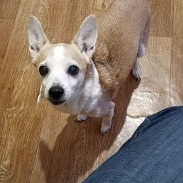 ���������, ���������, 58 ���