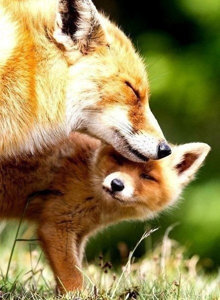 ����� ��������, ����� ��������� ������� � ��� ������� ���� ����-������ �������.