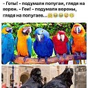 � �������� � �����!