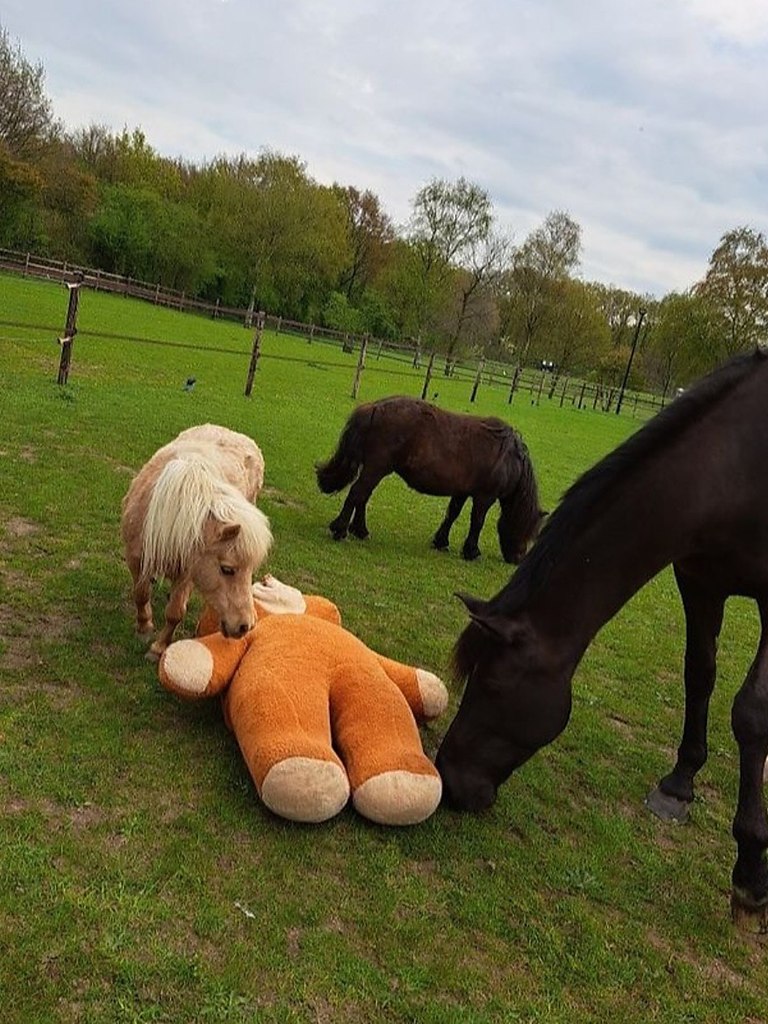  ,   ,      .  ... - 4