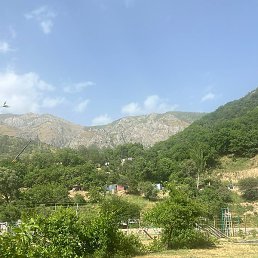Nodira, �������-�����, 18 ���