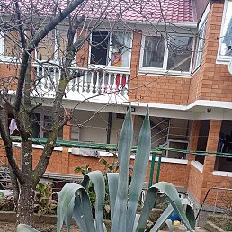 ������, �������, 40 ���