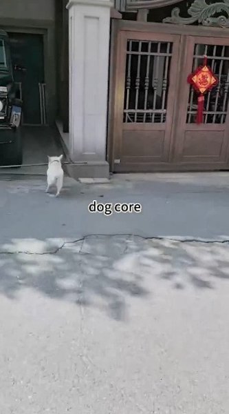 ��������� ������ - 2