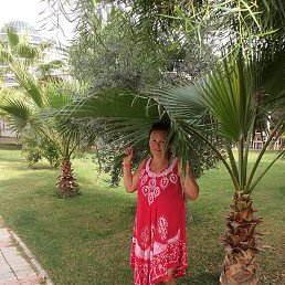 �������, ������, 56 ���