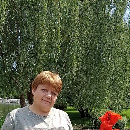 ���� ��������, ������, 54 ���� - ��������� 8 ������ 2024