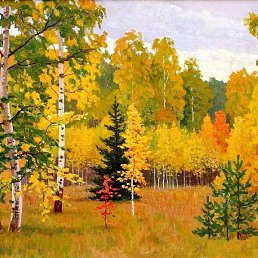 ��������, �����������, 31 ���