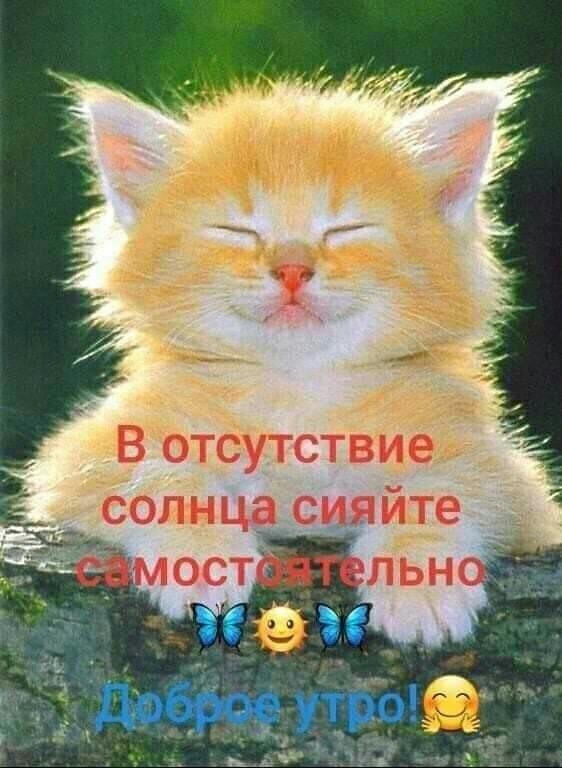  - 8  2025  03:10