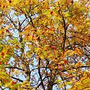 ���� ������� - �� ��������!, �������� - ��������� 17 ������� 2023 � ������ ������ ��������