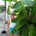 ���� ���������, �����, 69 ��� - ��������� 11 ��� 2025 � ������ ���� ����������