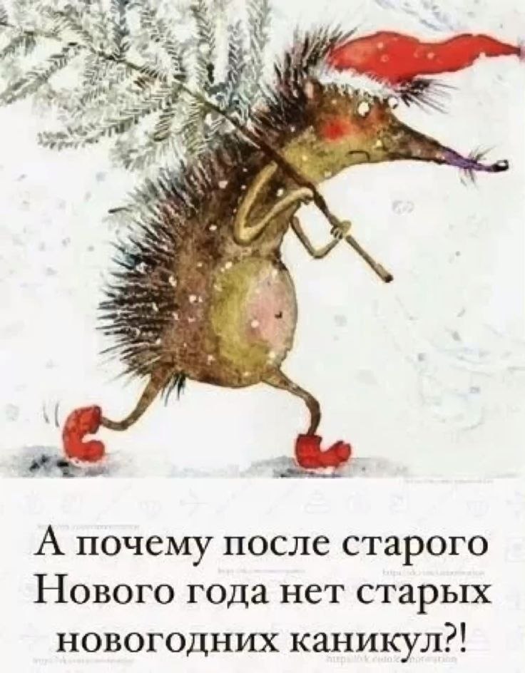   - 23  2024  21:50