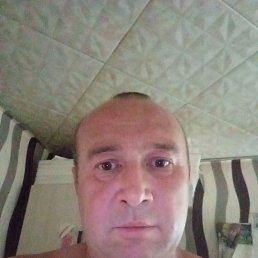 , 41, 