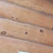 �������, 41 ���, ���������