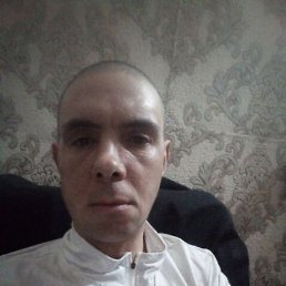 ���� ����, �����������, 44 ���� - ��������� 12 ������ 2024