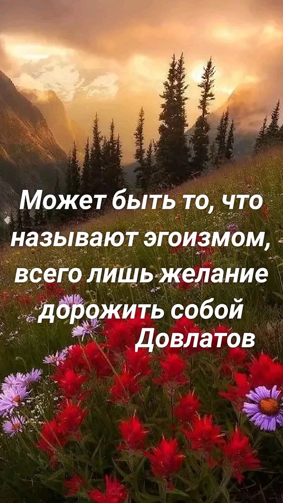 ������������� ���� - 3 ����� 2026 � 21:10