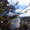 ���� �������, ����������� - ��������� 11 ������ 2024 � ������ ���� ����������
