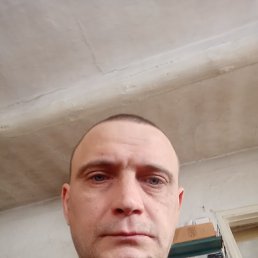 ����, 41 ���, ����