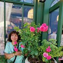 ���� �����, ������, 67 ��� - ��������� 23 ������� 2026 � ������ ���� ����������