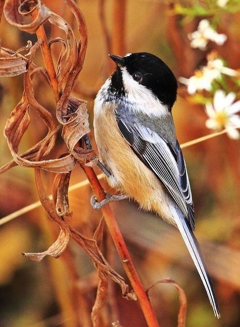    - 9  2025  23:40 - 5