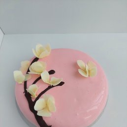 ���� �������, ���������, 56 ��� - ��������� 9 ��� 2026