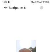 �������, 68 ���, ���������