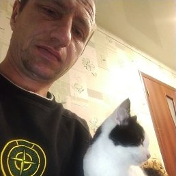 ������, �����, 35 ���