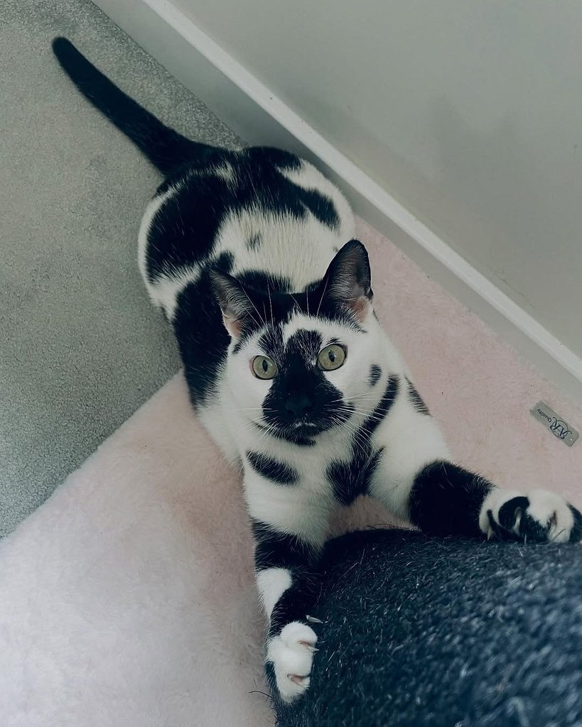 ��� ��� ����� - 5
