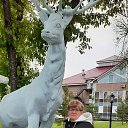 ���� ������, ������, 63 ���� - ��������� 18 ����� 2024