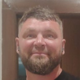 �����, ��������, 41 ���