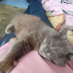 ���� �����, ������, 60 ��� - ��������� 6 ����� 2024